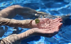 欧亚精品卡一卡二卡三737